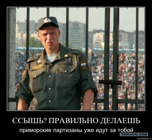 Эффектно остановился по требованию ДПС