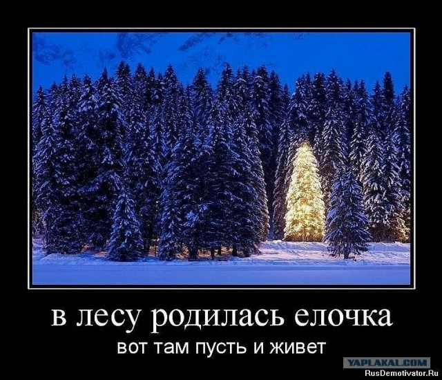 Елка тоже хочет жить