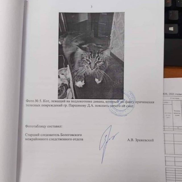 Котяра на стукача не подписался