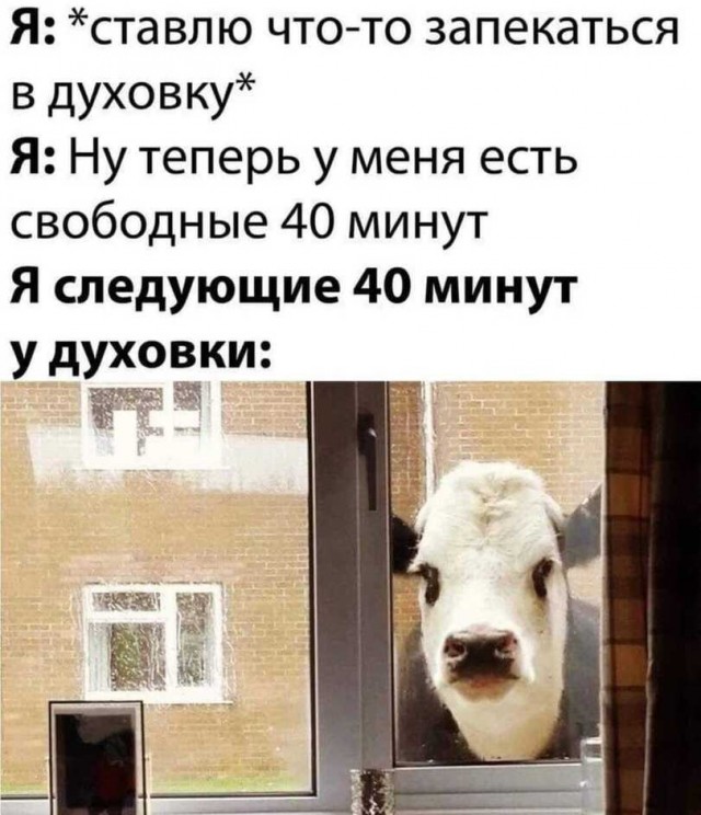 Так себе картинки 22.10.21