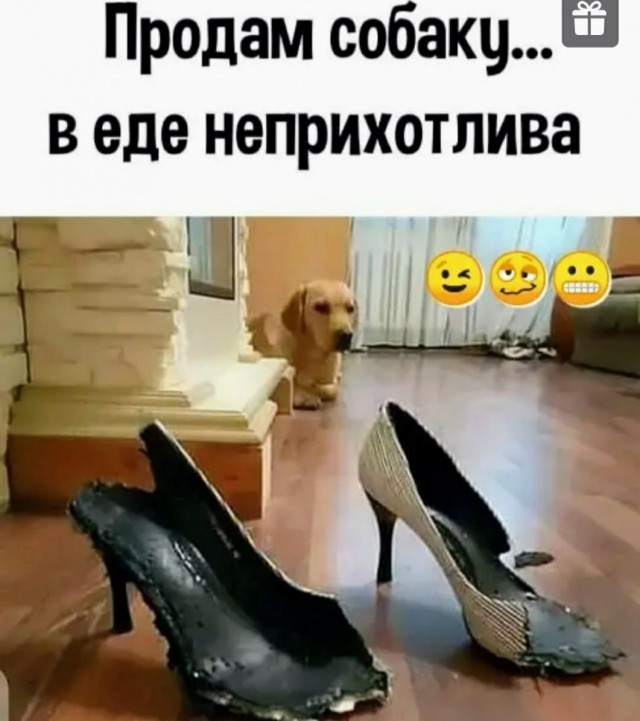 Картинки и мемы для настроения
