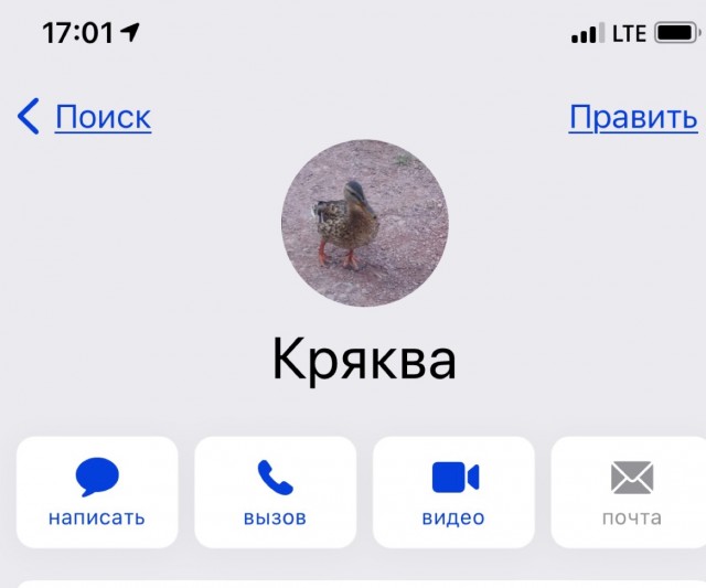 Подборка. Реакция мужа на утиные губы