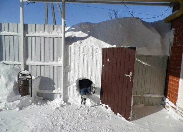 Так себе картинки 30.01.22