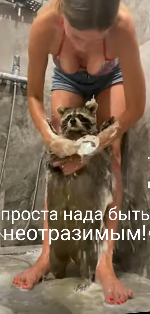 Задачка имеется, коллеги