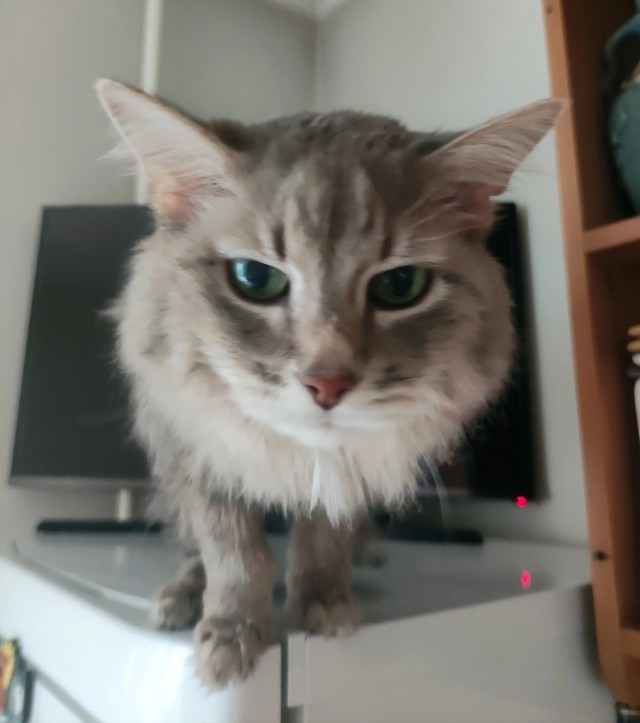 Почти юбиляр