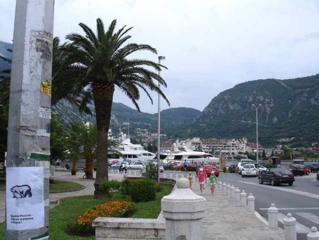 30 фактов о Сербии глазами россиянина