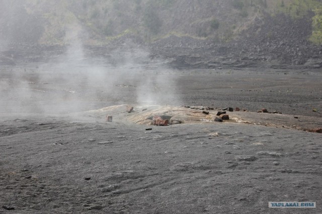 Путешествие на Гавайи