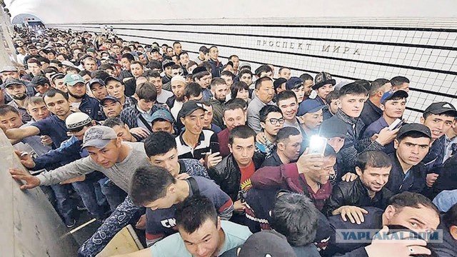 Москвичка недовольна объявлениями