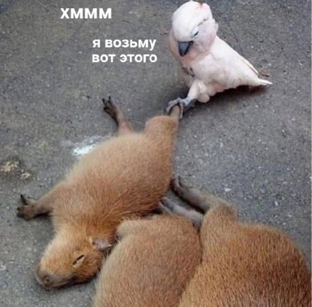 Скриншоты и комментарии из социальных сетей 12.01.23