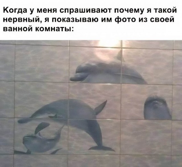 Картинки и мемы, всем хороших выходных