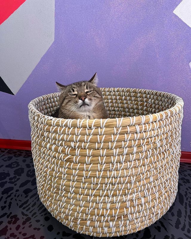 Трагедия Степана в трех актах