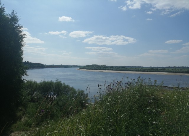 Сколько счас стоит писечка