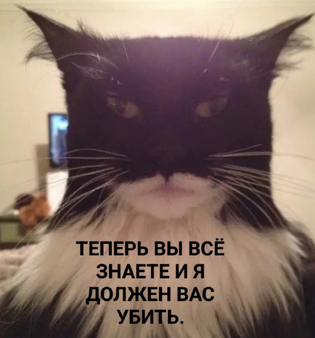 А какой сегодня ты?