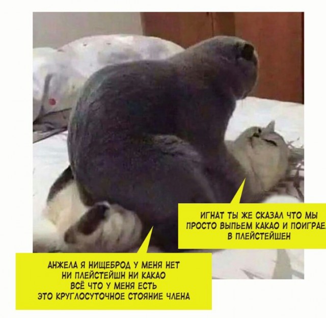 Всего понемногу. От 23.02.24