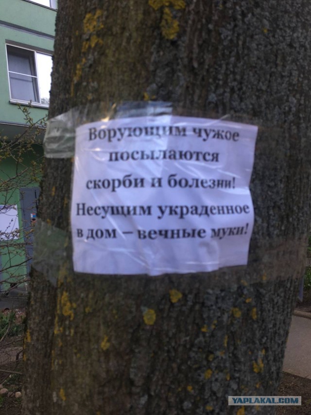 "Ну да, ну да. Пошел я на хер" © Любой ученый