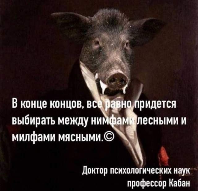 19152887.jpg
