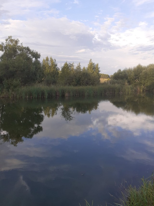 АРТ-Воскресенье