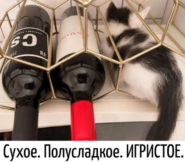Завалялось тут случайно немного забавных картинок