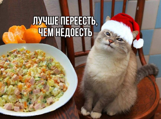 Врачи: есть салаты всю неделю после Нового года опасно для здоровья