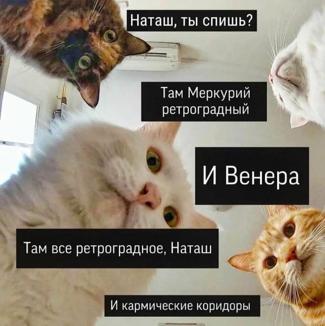 С января по март Земляне смогут наблюдать редкое событие - "парад планет", - Live Science