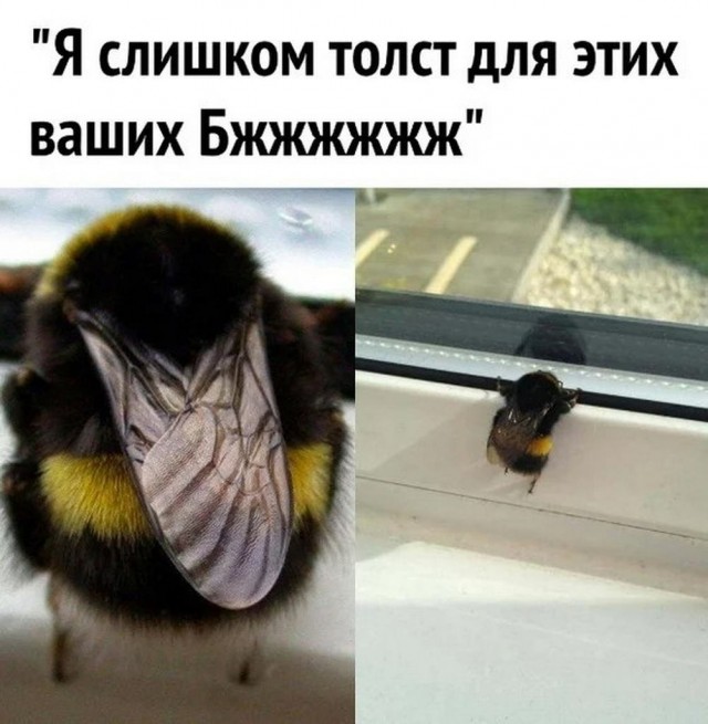 Картинки от 16 февраля