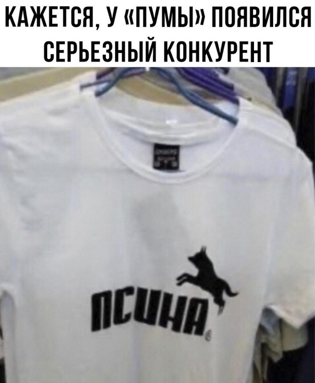 Веселые картинки в пятницу (30.05)