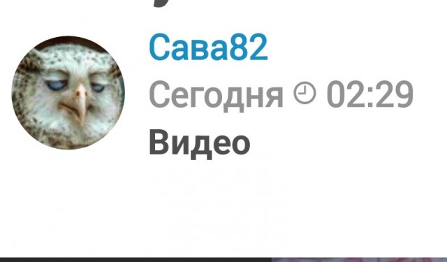 Это что такое????