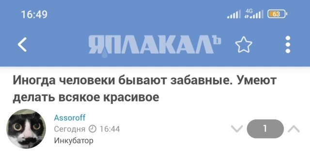 Иногда человеки бывают забавные. Умеют делать всякое красивое