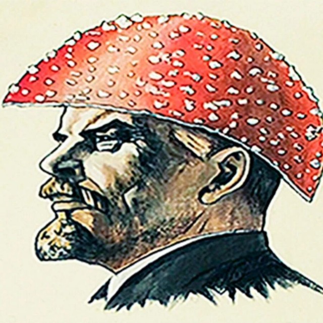 Вселенная-Грибница: Как мы все-таки оказались здесь