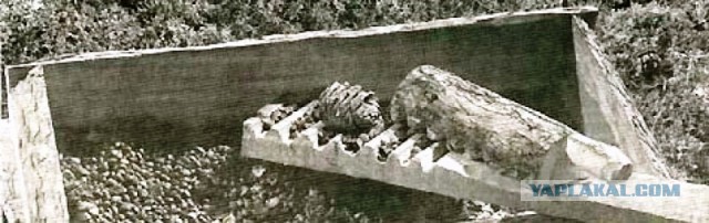 Для чего сия приблуда