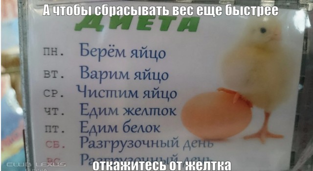 Картинки, веселые и глупые
