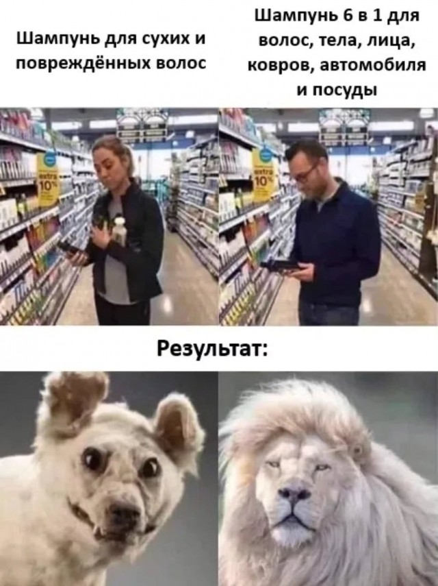 Картинки для деградации 134 (разной степени свежести)