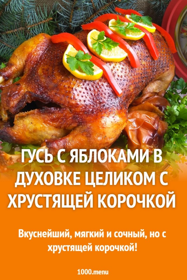 вторник-день котиков, четверг-день собачек, среда-день ГУСЯ!