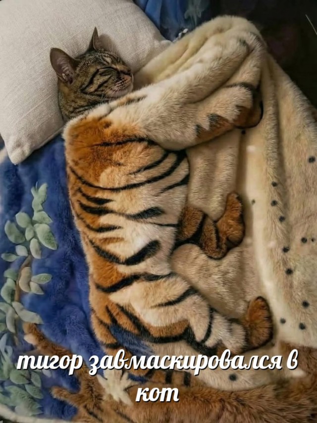 Дегрономикон "Вот-вот умру"