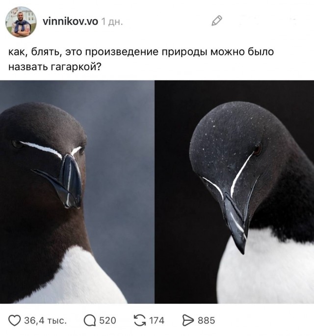 Так себе картинки 17.05.26