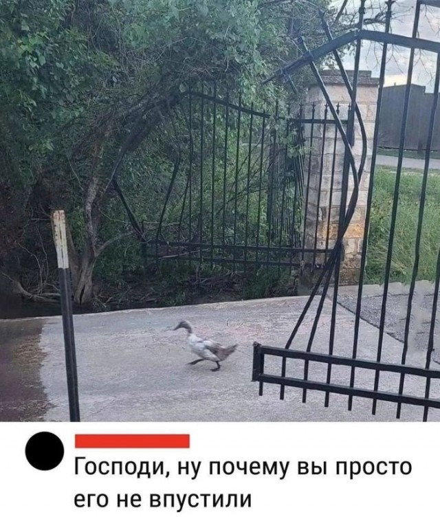 21137887.jpg