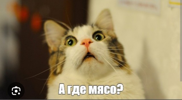 Ща я вас научу