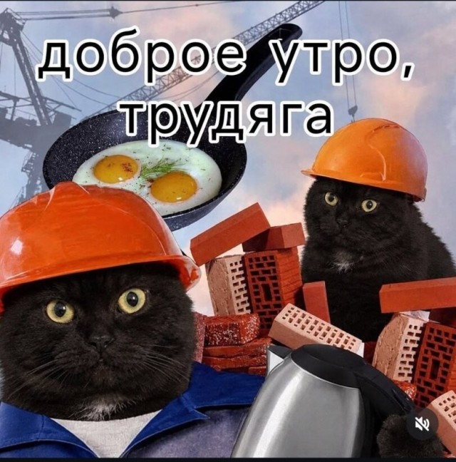 Если жизнь дала тебе лимон — сделай лимонад. Если жизнь дала тебе помидор — не пытайся сделать лимонад.