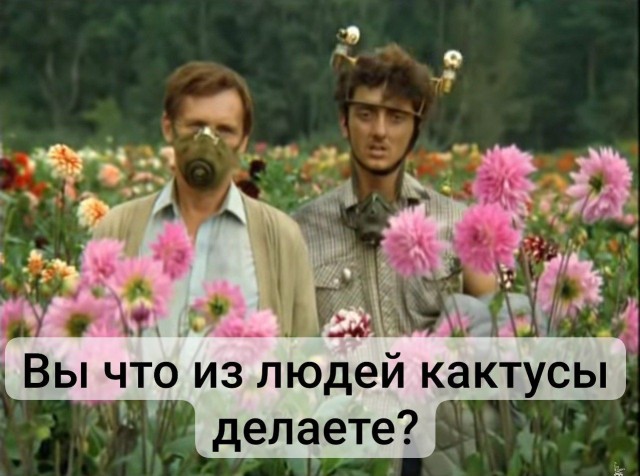 В Австралии приняли закон об использовании трупов для компоста