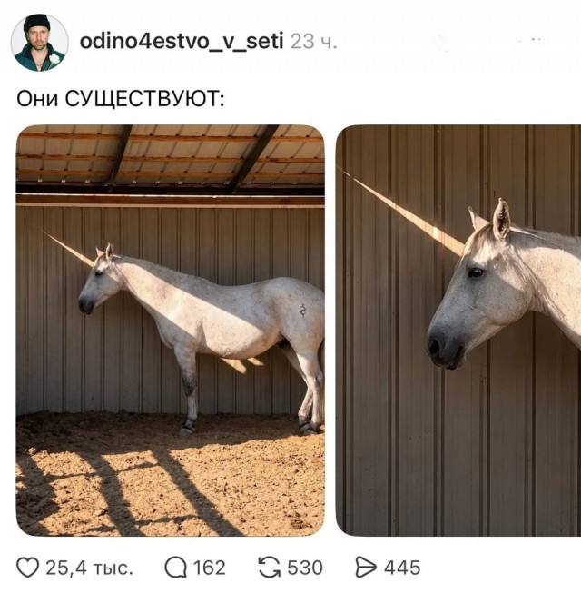 Так себе картинки 25.10.26