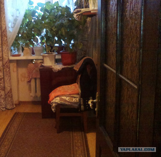 Котовторник 6.05.2014