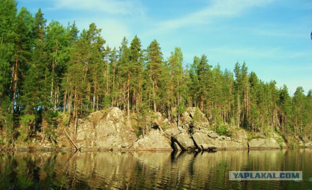 Хочу в Россию.