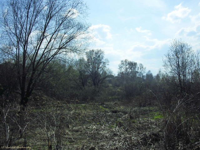 В черном городе