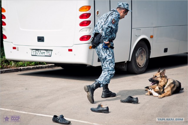 Центр кинологической службы Упр-ния на транспорте