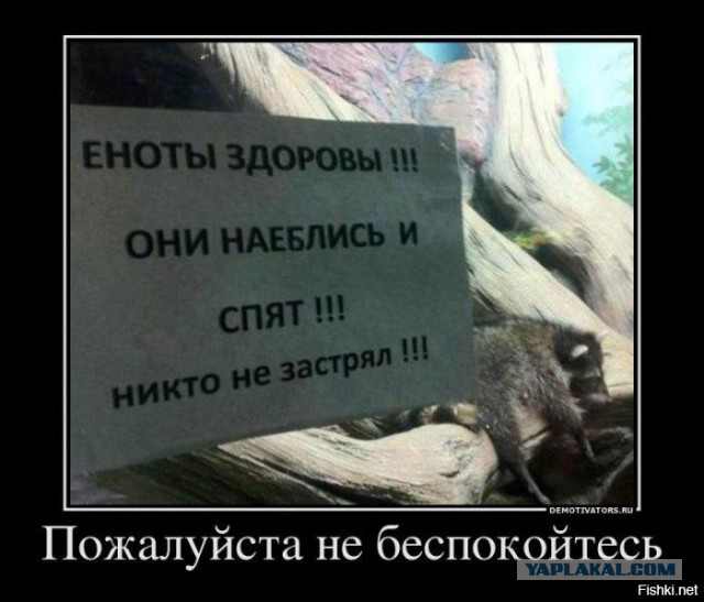 Немного демотиваторов
