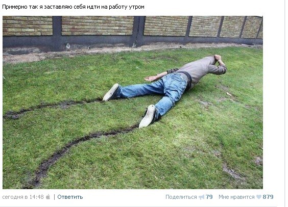 Ужасы и приколы из соцсетей 18+