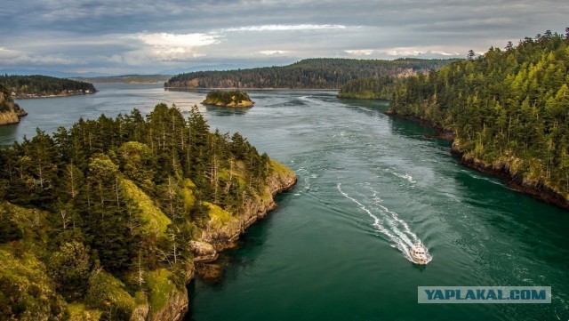 Подборка смешных, не очень и просто красивых фотографий