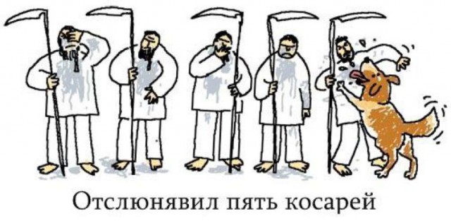 Картинки из интернетов