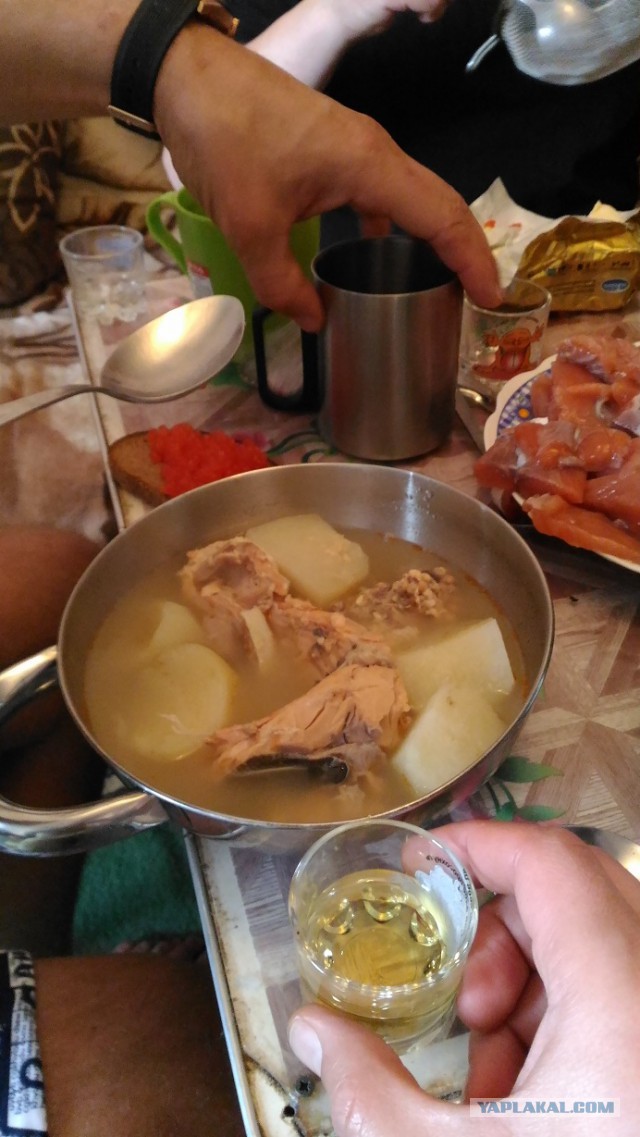 До свидания Камчатка, я обязательно вернусь!
