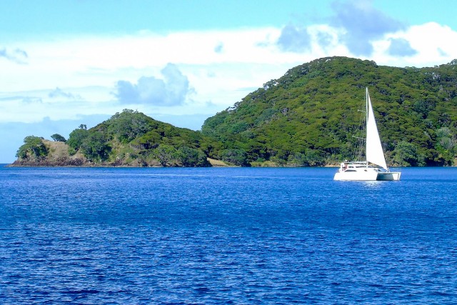 Great Barrier Island. Новая Зеландия.
